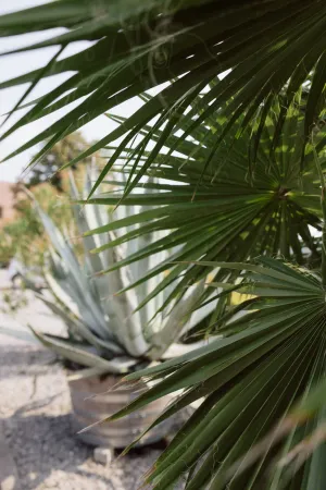 Hochzeitsfotograf Landau - Pfalz -