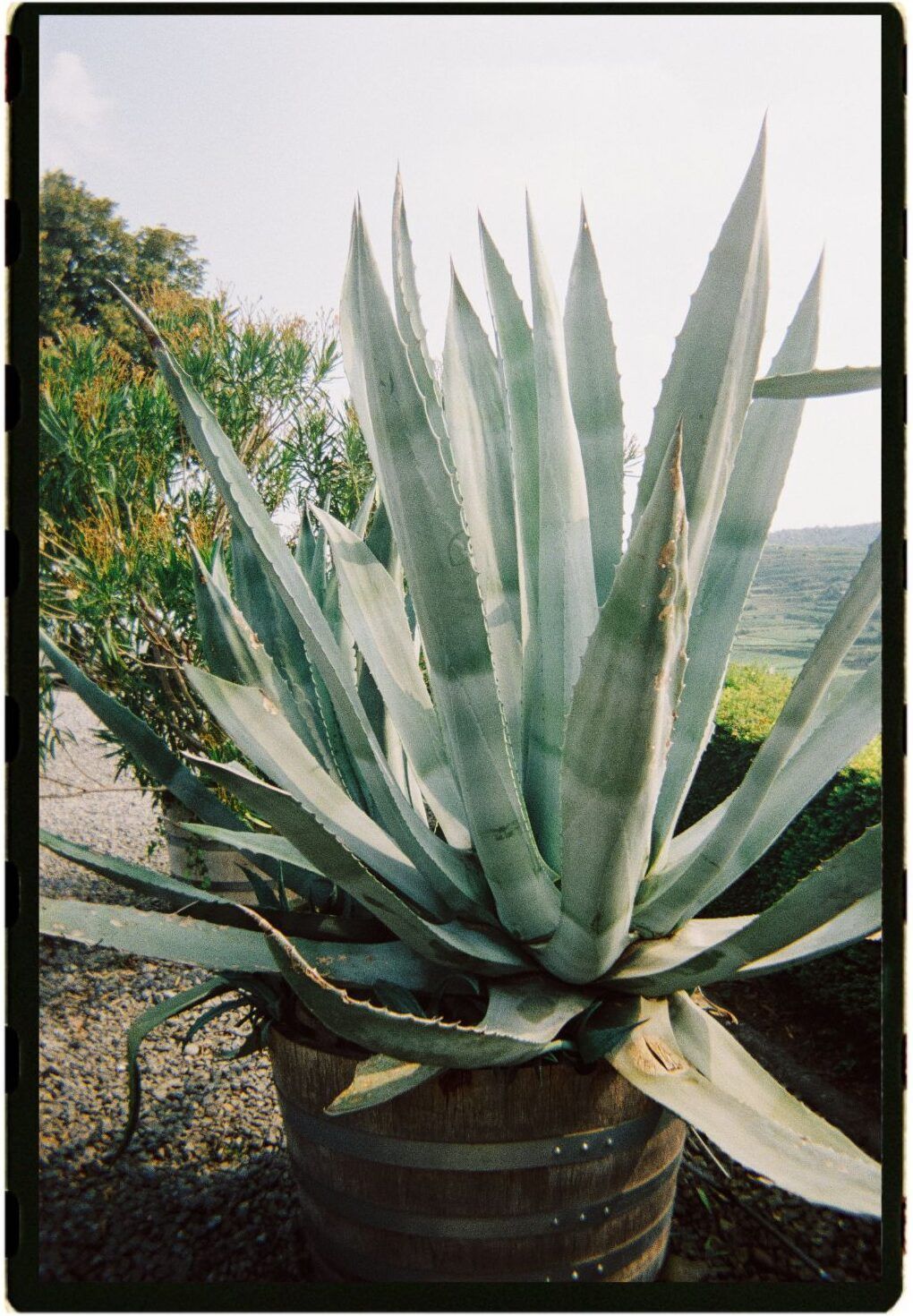 Hochzeitsfotograf Pfalz - Rheinhessen - Mainz - Frankfurt - Luxemburg Getting ready Flatlay - parfum