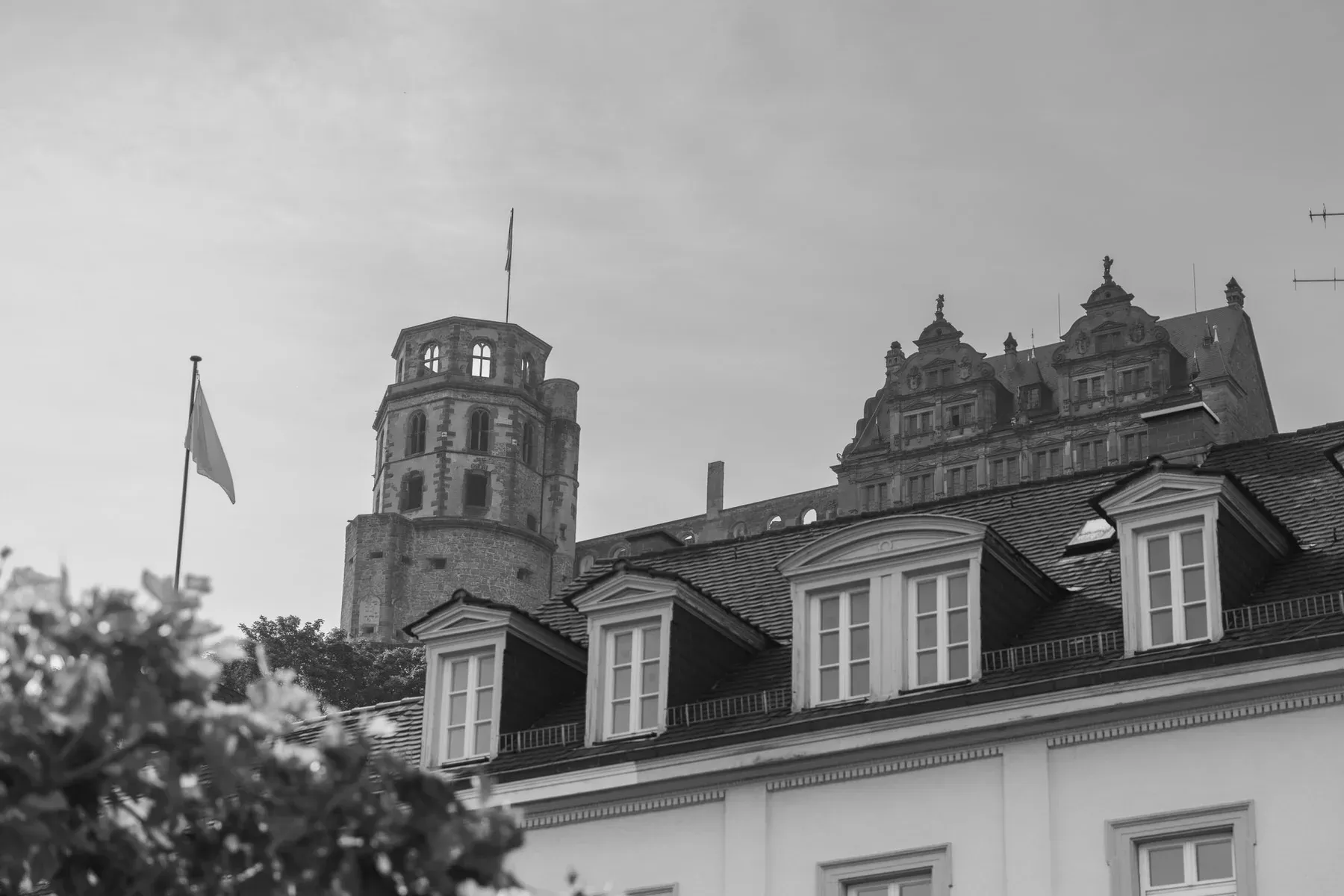 Hochzeitsfotograf Landau - Pfalz - 