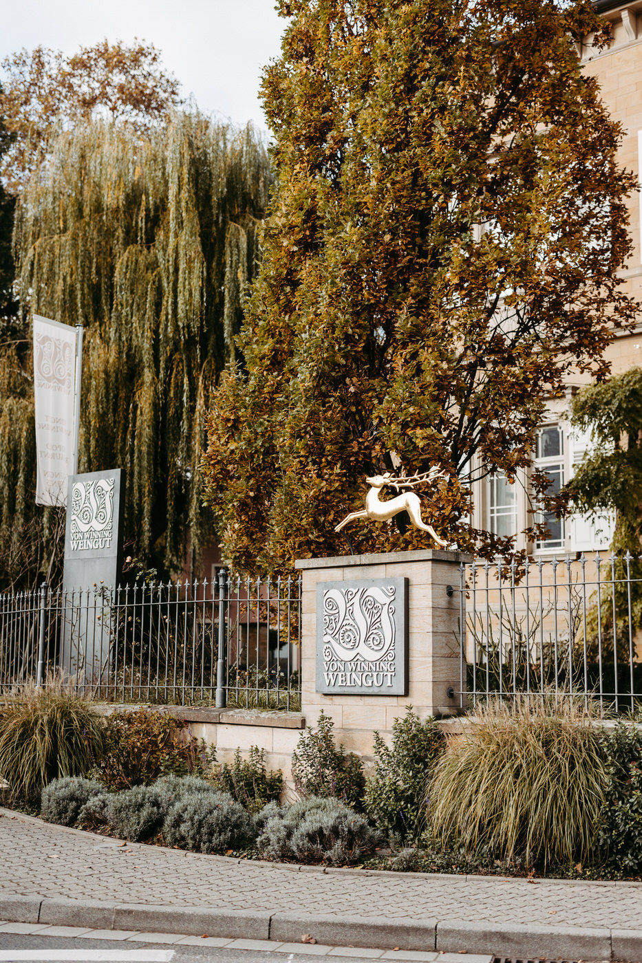 Hochzeit Altes Weingut am Maxbrunnen in Baddürkheim - Hochzeitsfotograf Pfalz - Andreas Heu Weddings