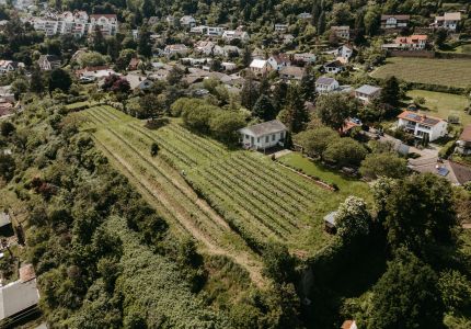 Hochzeit Altes Weingut am Maxbrunnen in Baddürkheim - Hochzeitsfotograf Pfalz - Andreas Heu Weddings